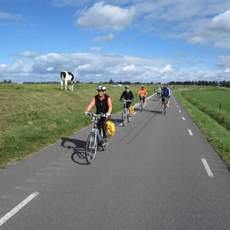 Webdesign Assendelft, Project Direct, Timo van Tilburg, Snel een Webdesigner Assendelft, Website laten maken Assendelft, Website laten bouwen Assendelft, SEO Assendelft, SEA Assendelft, Online Marketing Assendelft, Wordpress Assendelft, Zoekmachine optimalisatie Assendelft, Webdesign Zaandam, Website laten maken Zaandam, Webdesign Zaanstad, Website laten maken Zaanstad