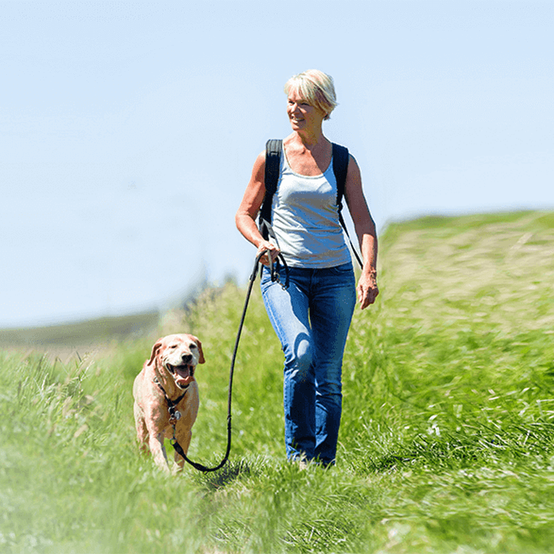 Webdesign Assendelft, Project Direct, Timo van Tilburg, Snel een Webdesigner Assendelft, Website laten maken Assendelft, Website laten bouwen Assendelft, SEO Assendelft, SEA Assendelft, Online Marketing Assendelft, Wordpress Assendelft, Zoekmachine optimalisatie Assendelft, Webdesign Zaandam, Website laten maken Zaandam, Webdesign Zaanstad, Website laten maken Zaanstad